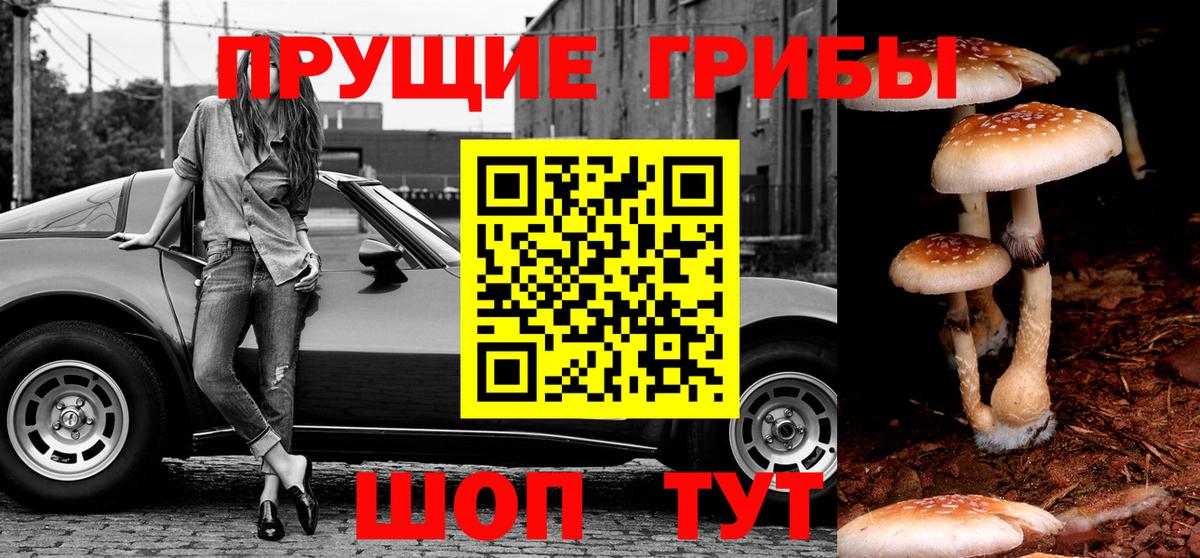 Крымск  Псилоцибиновые грибы Magic Shrooms  Вход с VPN 